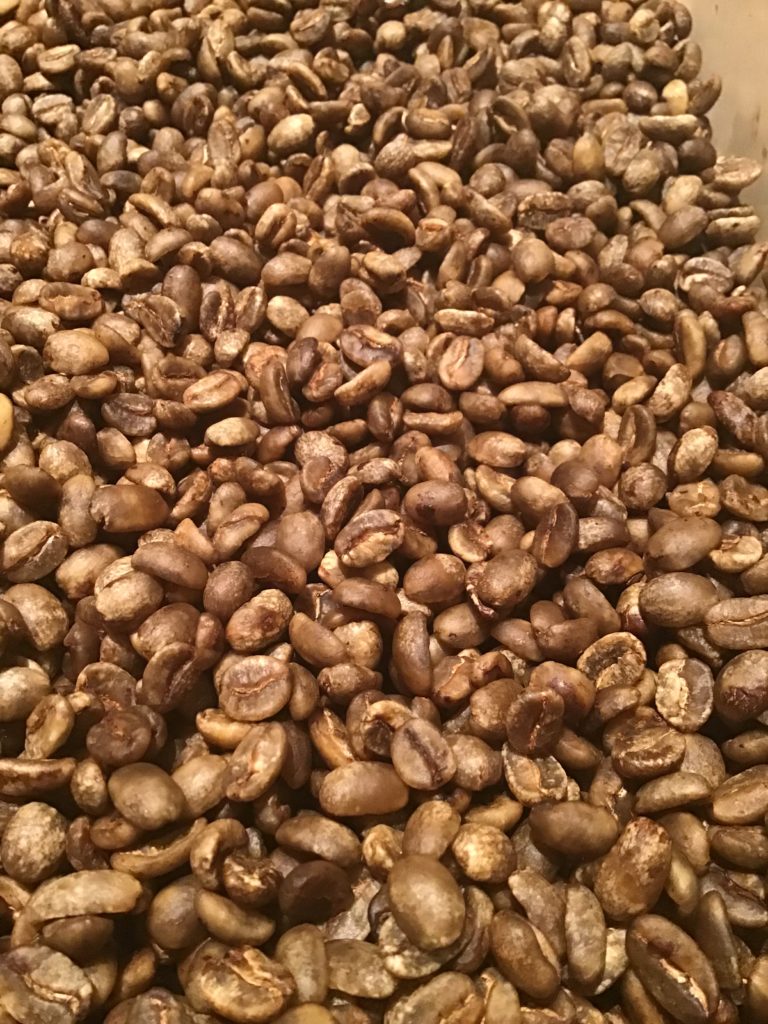発酵珈琲豆